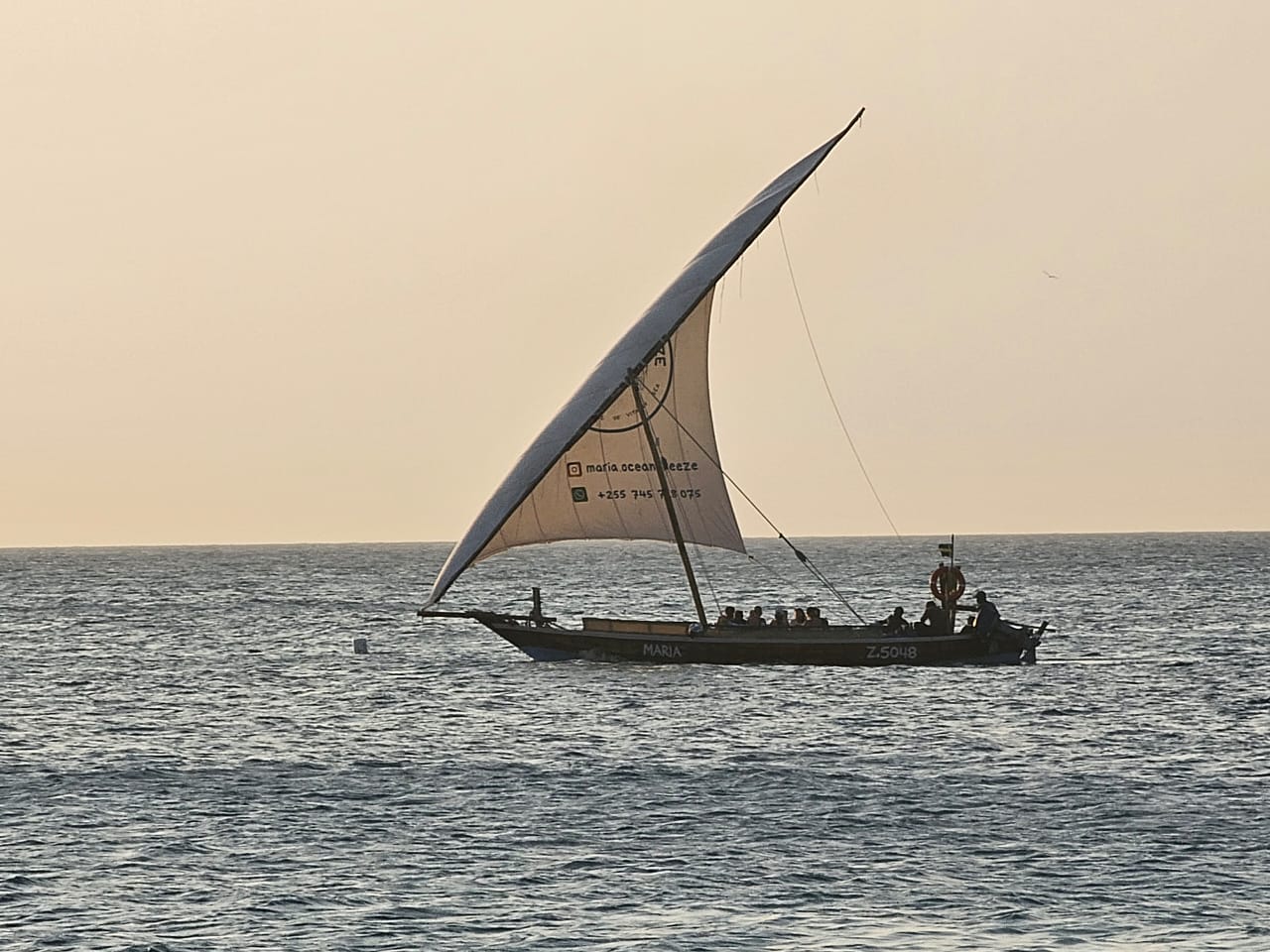 Full Day Dolphin, Mnemba Island Snorkeling, Sandbank & Sunset Cruise